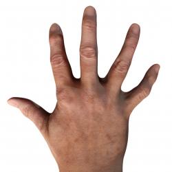 Ethan Lawson Retopo Hand Scan